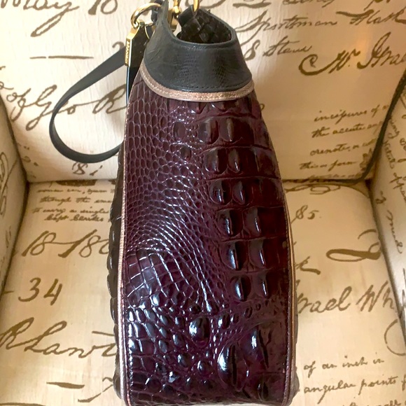 Brahmin - Picture 4 of 12